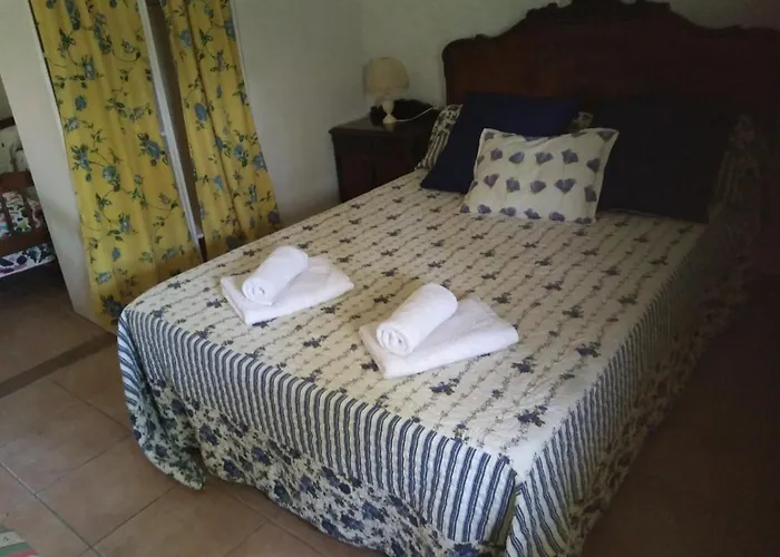 La Barraca D\'En Salvador